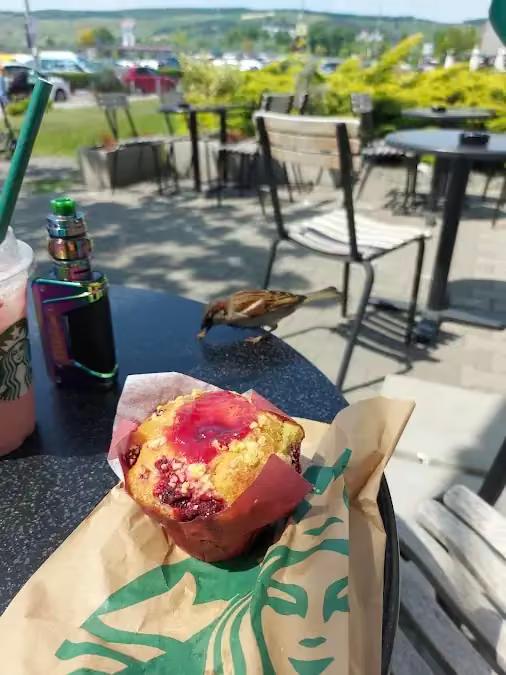 Starbucks restaurant in 407280 Florești