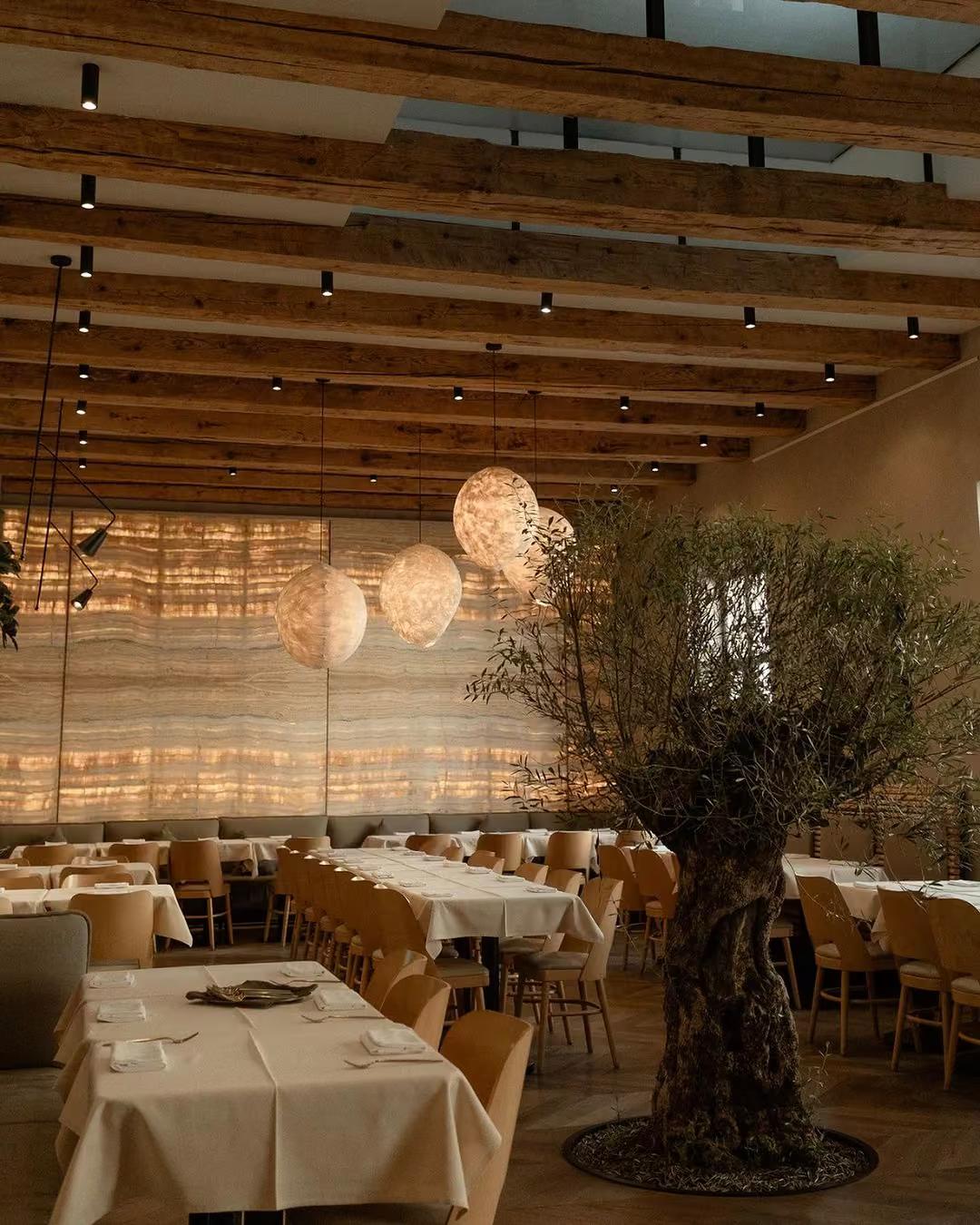 Samsara Foodhouse - vegetarian & vegan restaurant in 400029 Cluj-Napoca