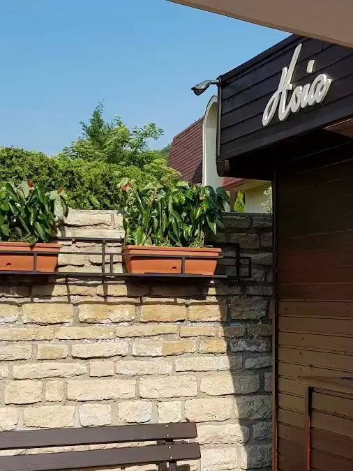 Cantina Primariei Hoia - eastern-european & romanian restaurant in 400535 Cluj-Napoca