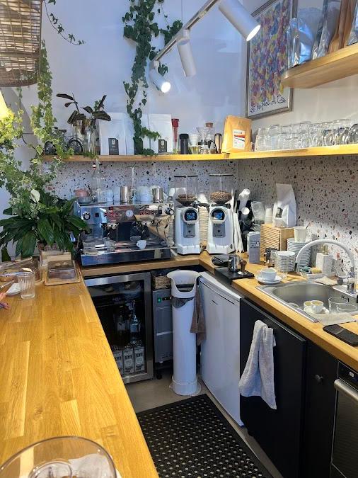 Nish - vegetarian & vegan restaurant in 400394 Cluj-Napoca