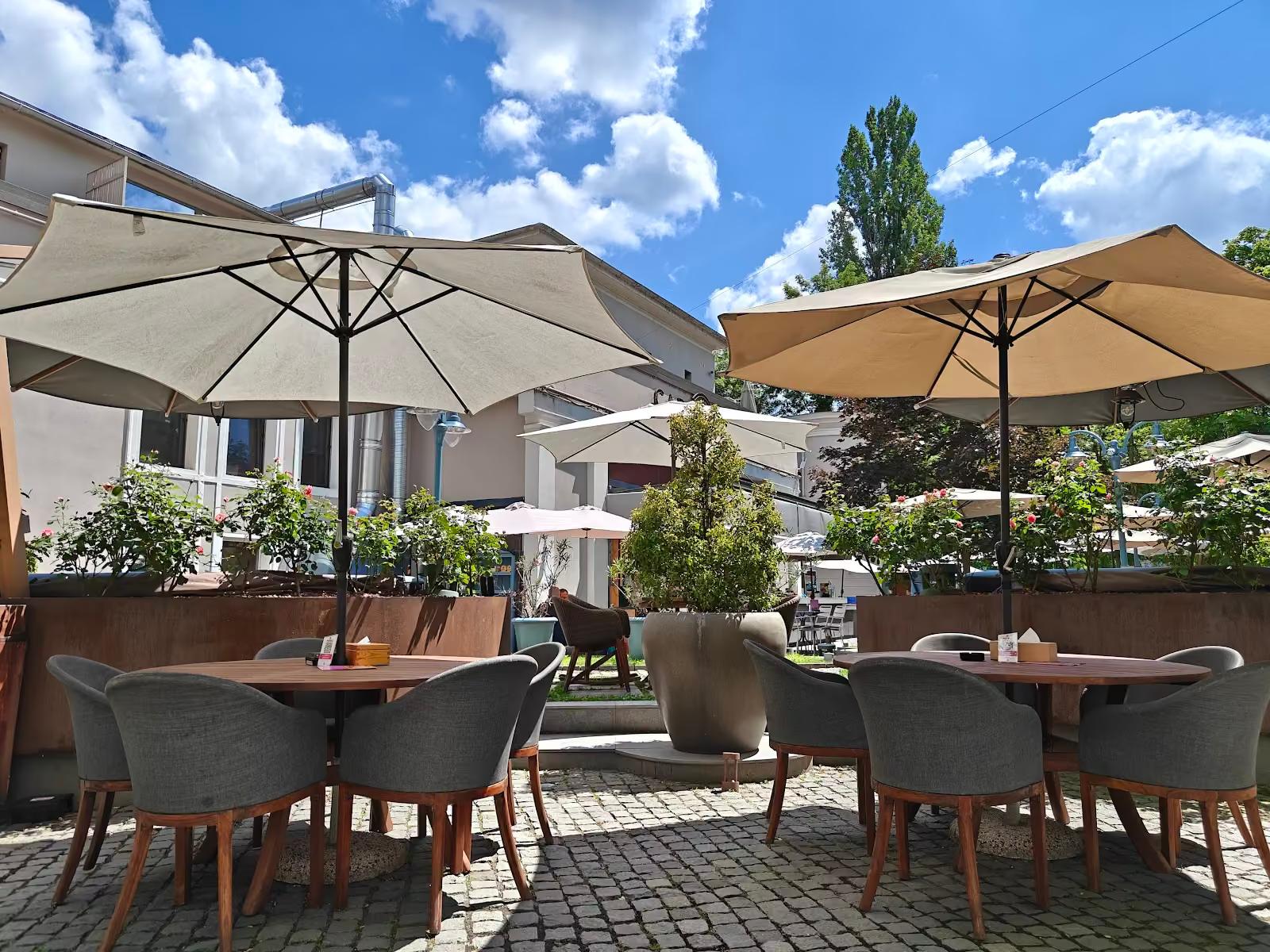CHIOS Social Lounge - breakfast-brunch & fusion restaurant in Cluj-Napoca