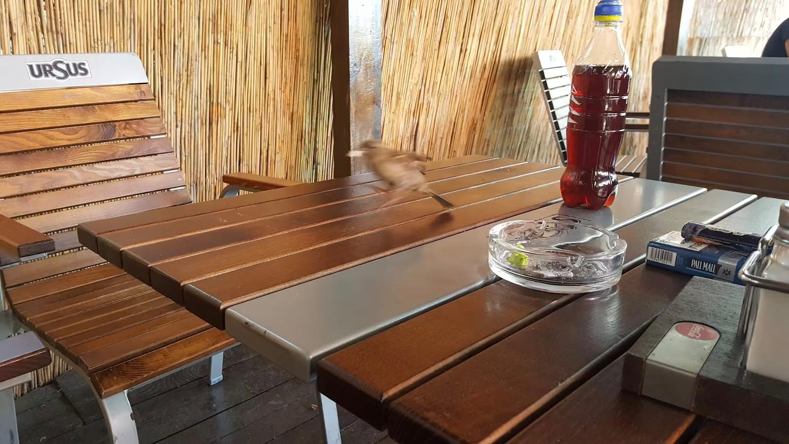Casa de Piatra Bistro - romanian & hungarian restaurant in 400394 Cluj-Napoca